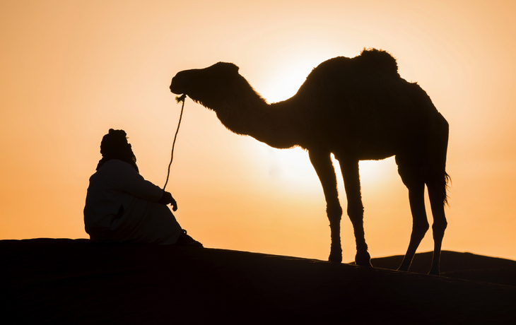 Beduinen und Kamel in der Sahara