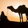 Beduinen und Kamel in der Sahara