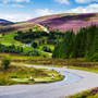 malerische Straße in den schottischen Highlands im Cairngorms-Nationalpark