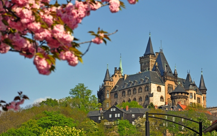 Schloss Wernigerode im Frühling