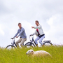 Paar bei Radtour mit dem Fahrrad am Deich mit Schafen